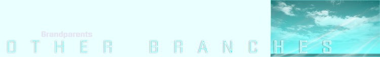 wp9a1fd05c.png