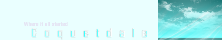 wpe9328534.png